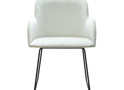 1x Dining room chair Living room chair Kitchen chairs Upholstered chair with armrest